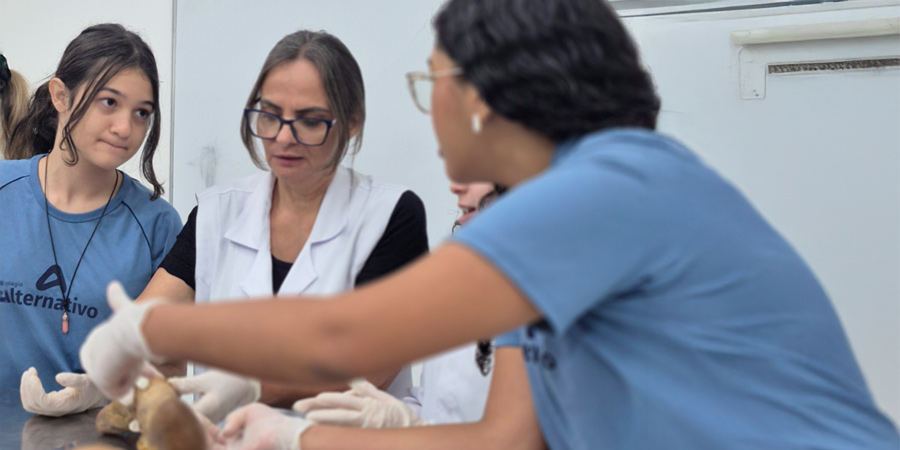 Estudos colaborativos ampliam a aprendizagem escolar