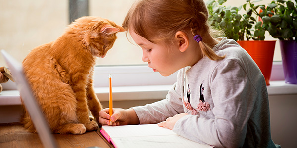 criança estudando com gato do lado